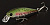 Воблер LUCKY CRAFT Pointer 48 DD - 817 Ghost Rainbow Trout